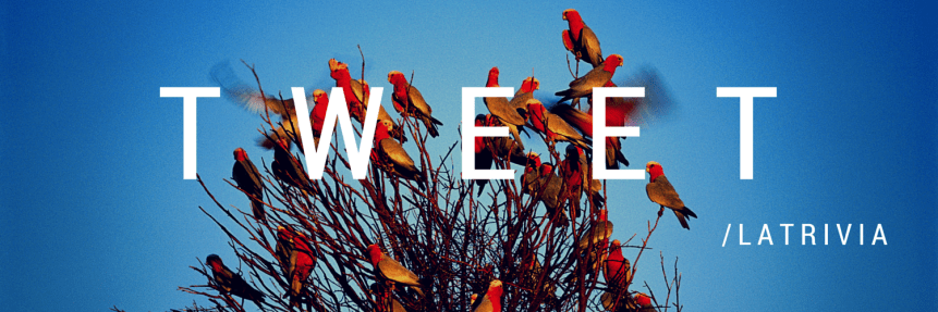 TWEET (2)